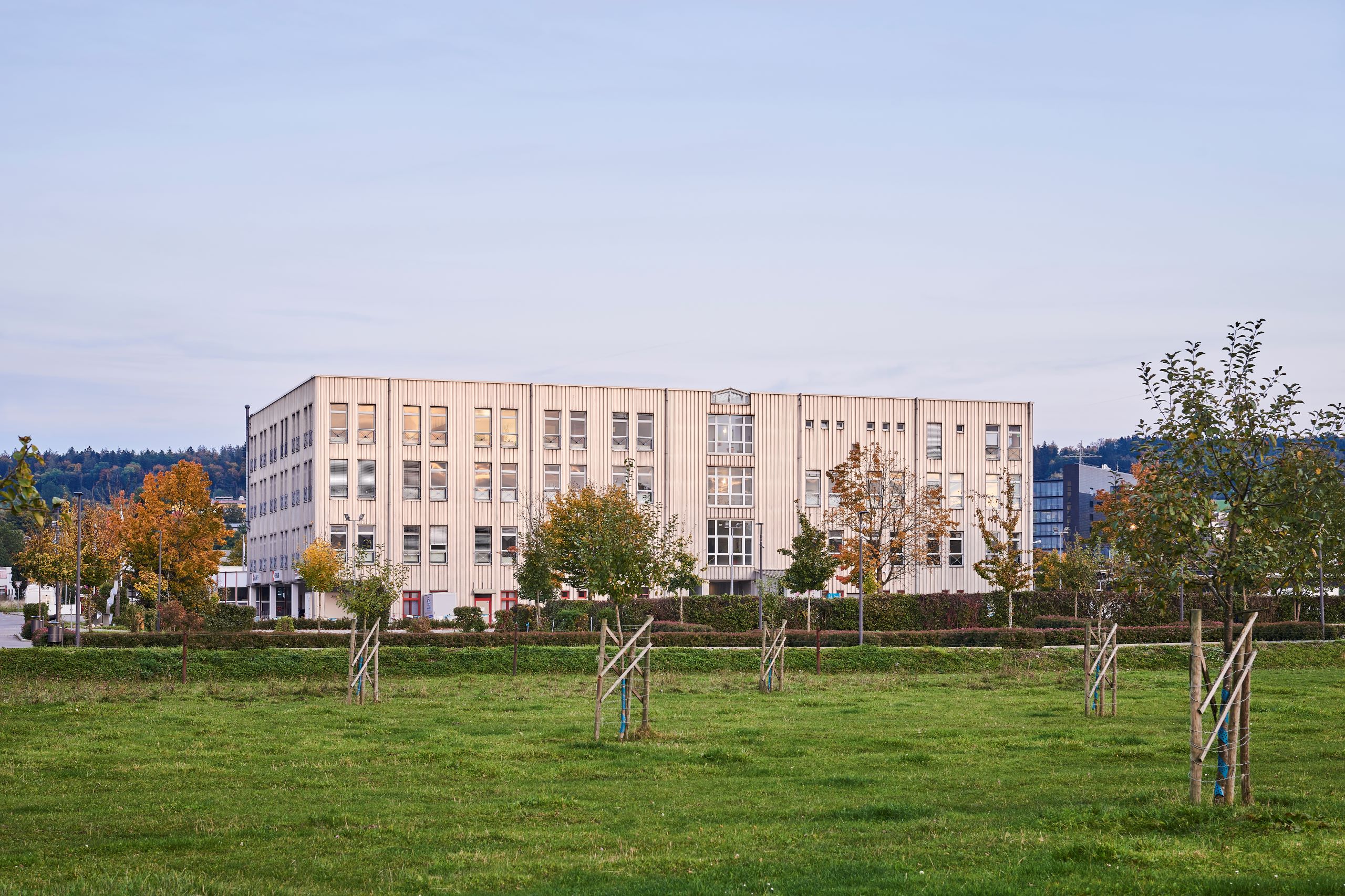 Weingarten_014